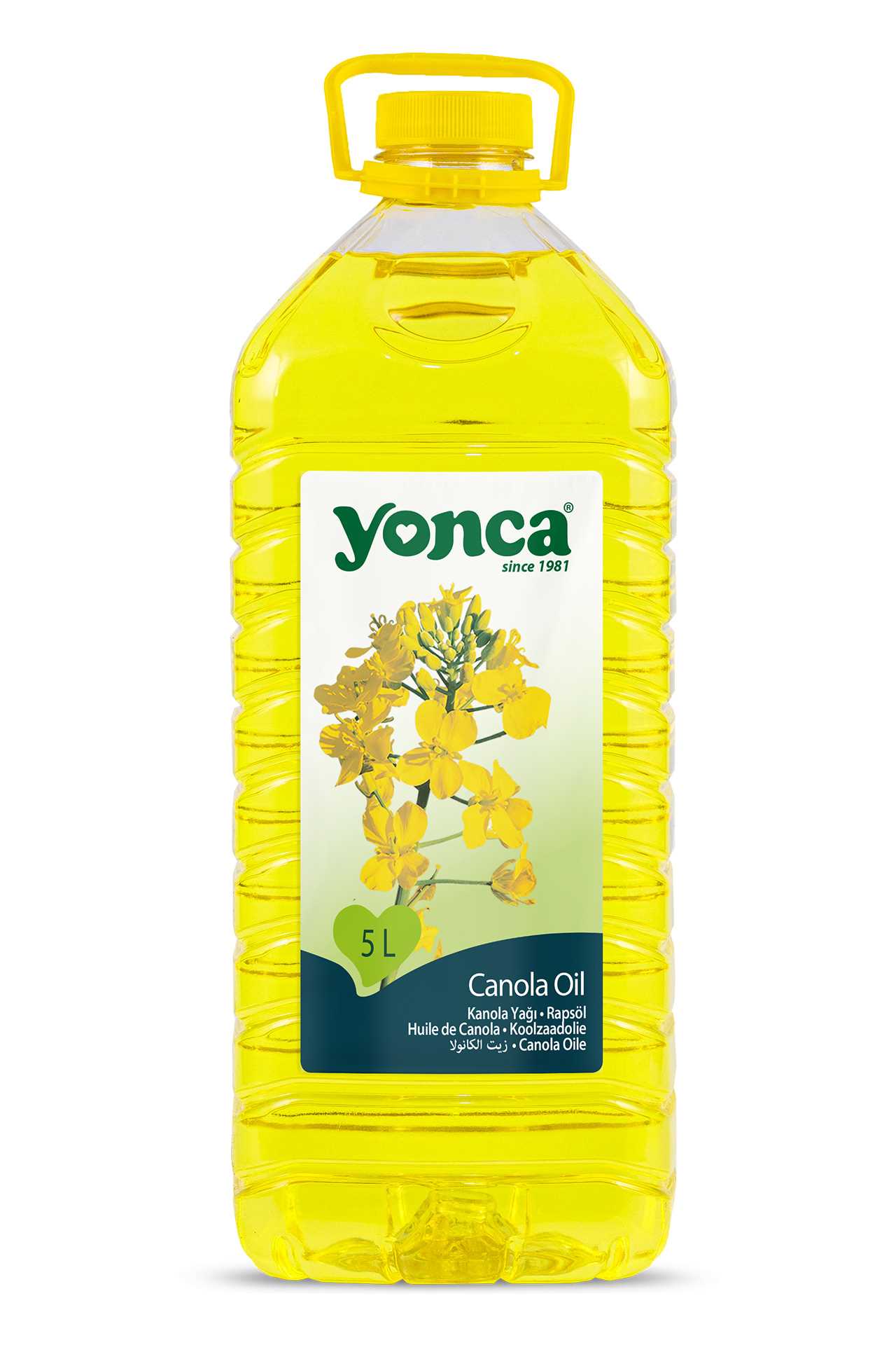 Canola Oil 5 L